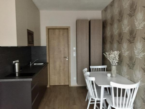 Отель Apartmán Sport 2 Dolní Morava  Дольни Морава